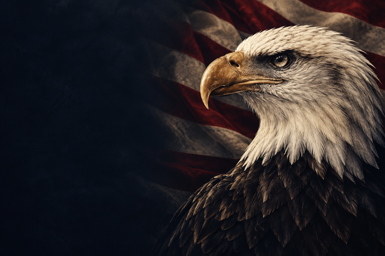 Bald eagle against a muted American flag